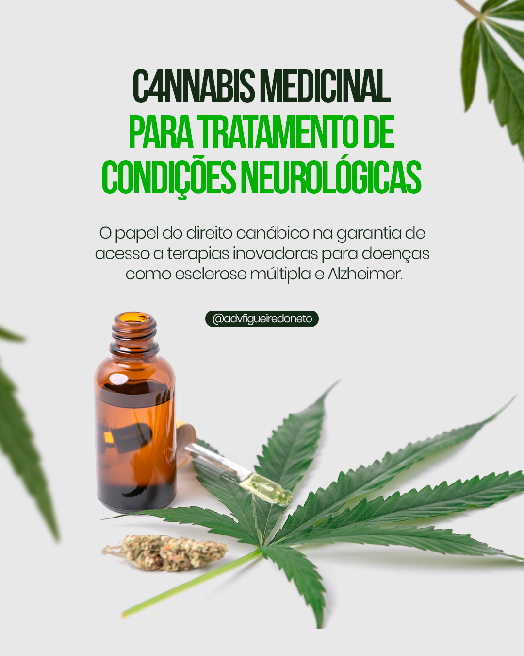 CANNABIS-MEDICINAL-FEED