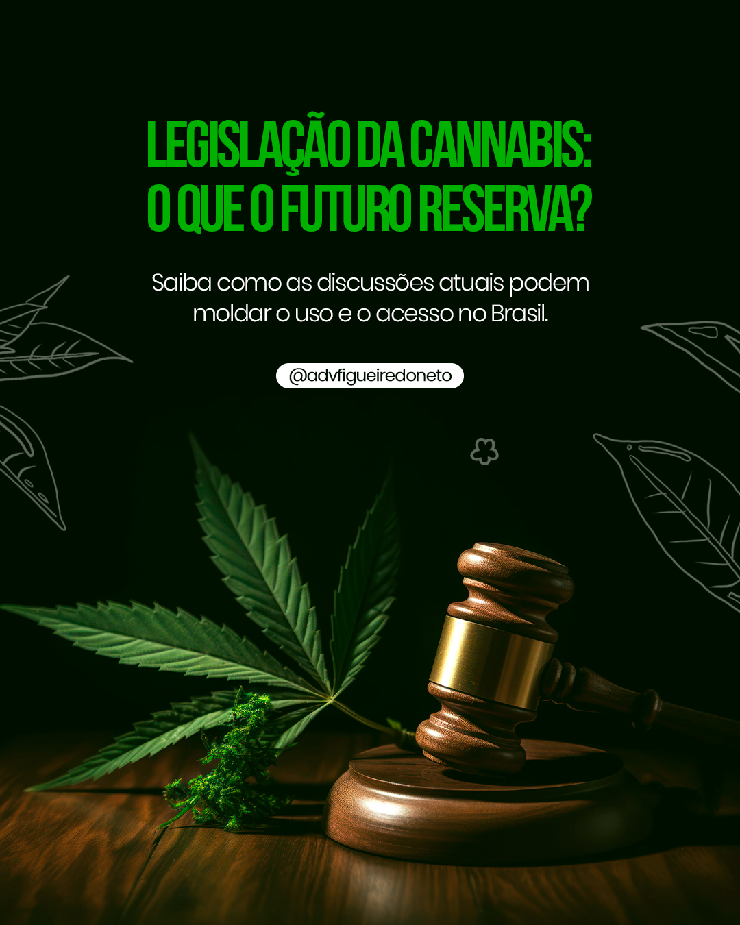 LEGISLAÇÃO-FEED